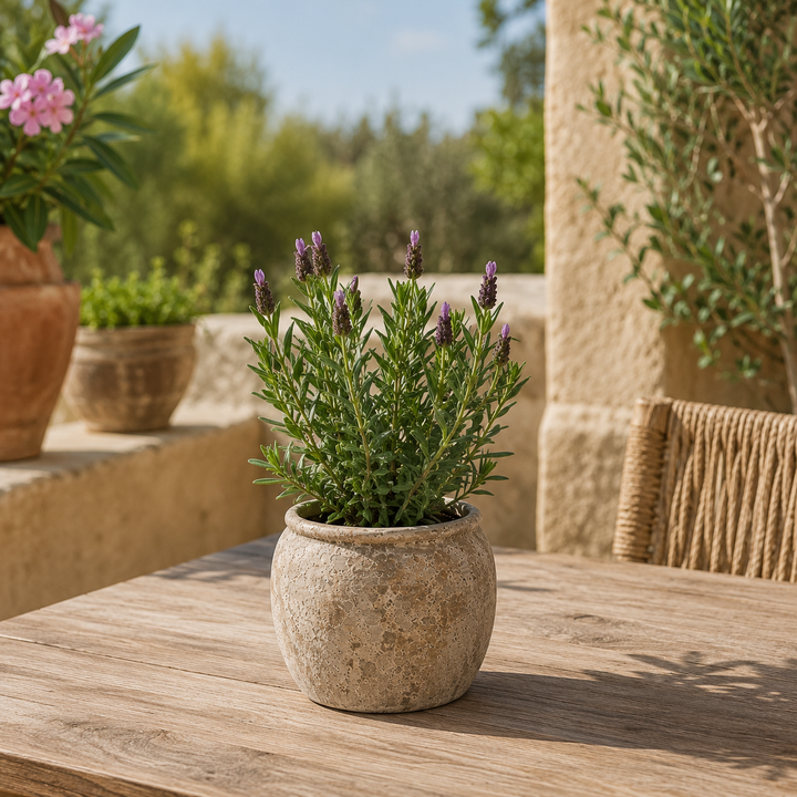 Rustikaler Keramik Blumentopf 13 cm – Handgemacht | Naturstil