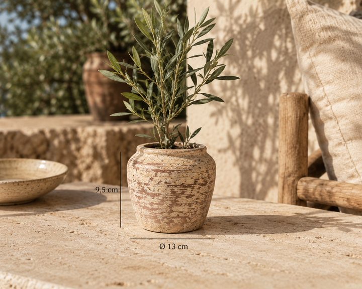 Rustikaler Blumentopf in Steinoptik (9,5 x Ø 13 cm) mit Olivenzweigen auf einer sonnigen Terrasse. Dekorativer Pflanztopf im mediterranen Stil für Balkon, Terrasse oder natürliche Wohnraumgestaltung.