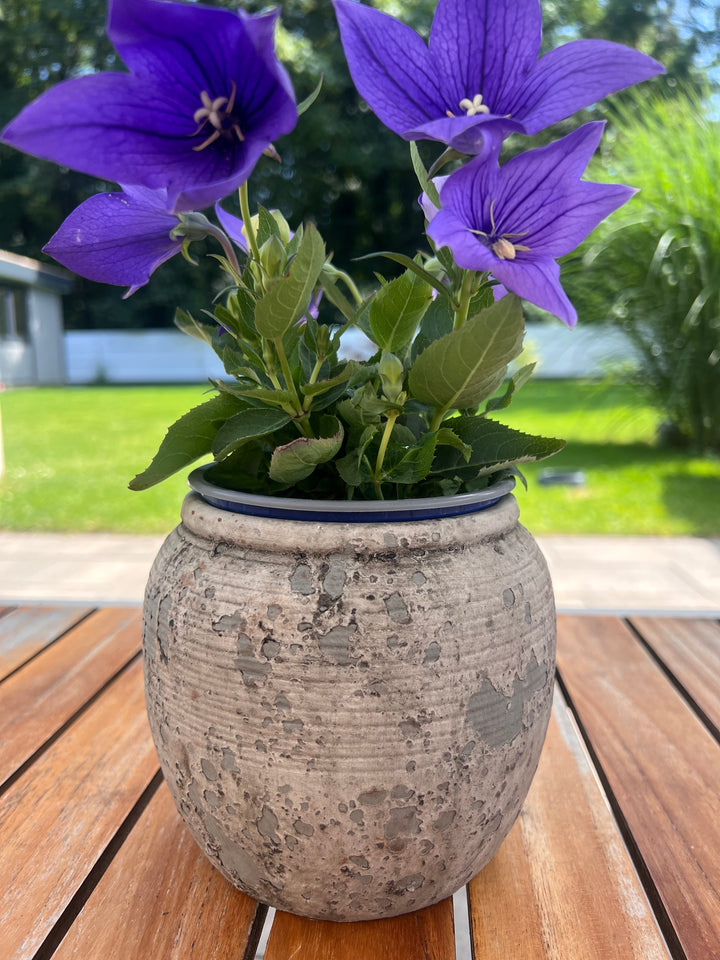Blumentopf Keramik Rustikal